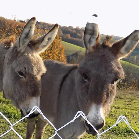 Le Fraysse 3* Montdurausse