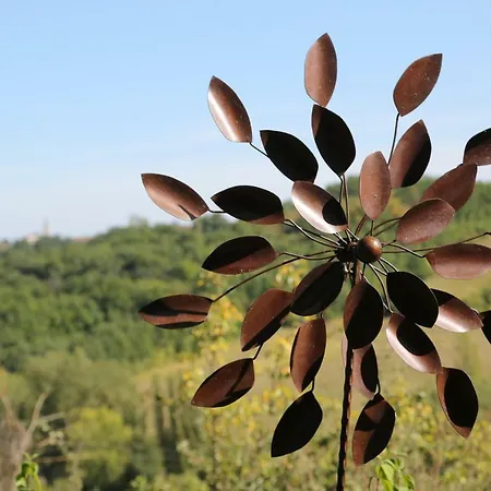 Bed & Breakfast Le Fraysse Montdurausse