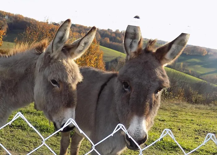 Le Fraysse 3* Montdurausse